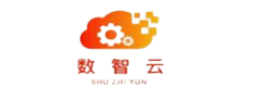 数智云信息logo